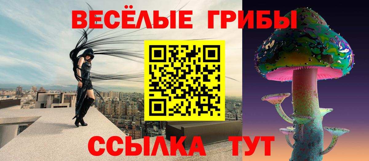 Псилоцибиновые грибы MAGIC MUSHROOMS  Галлюциногенные грибы Cubensis  Первоуральск  Вход с VPN 
