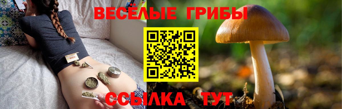 Галлюциногенные грибы Psilocybe Первоуральск